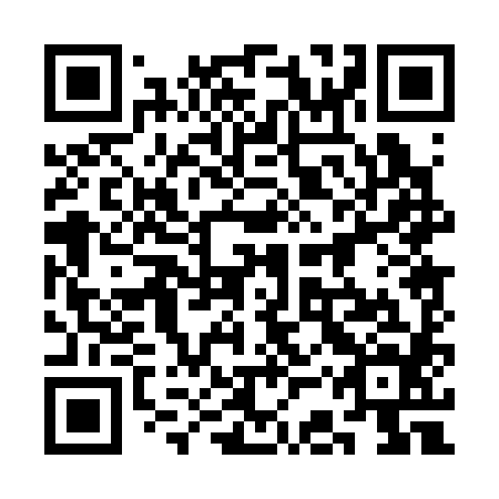 QR code for plate 3CP 384