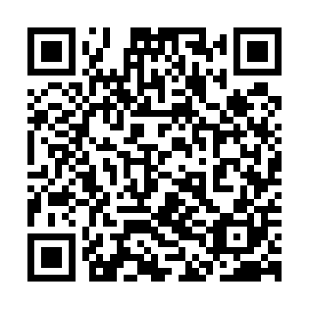 QR code for plate 3DG 500