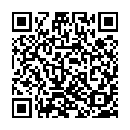 QR code for plate 3DG 598