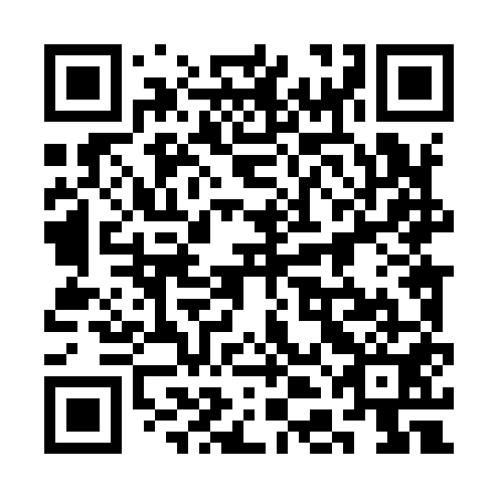 QR code for 3DL 951