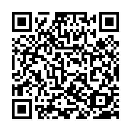 QR code for plate 3DM P09