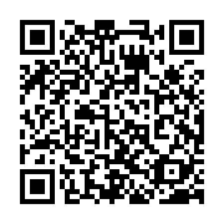 QR code for 3DPI29