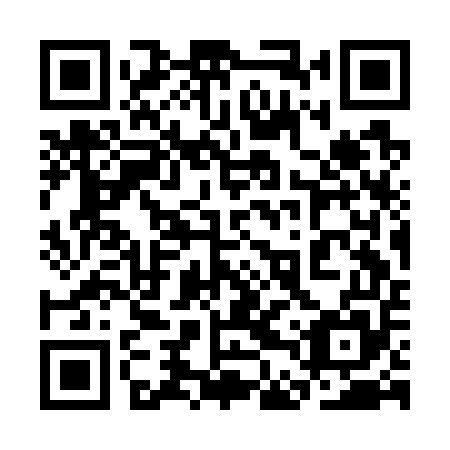 QR code for 3DS G55