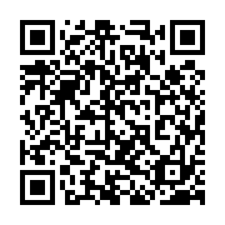QR code for plate 3DU 533