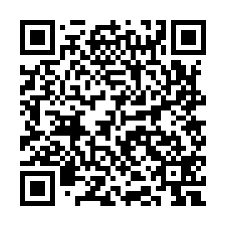 QR code for 3DW 919