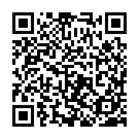 QR code for 3DZ300