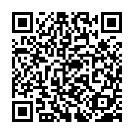 QR code for plate 3E9 959