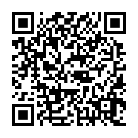 QR code for plate 3EO 336