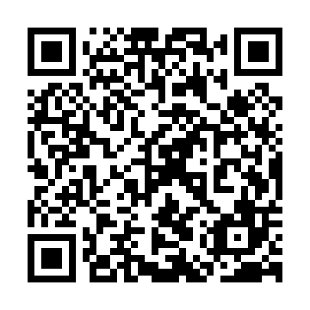 QR code for 3EU P06