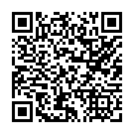QR code for plate 3F6 863