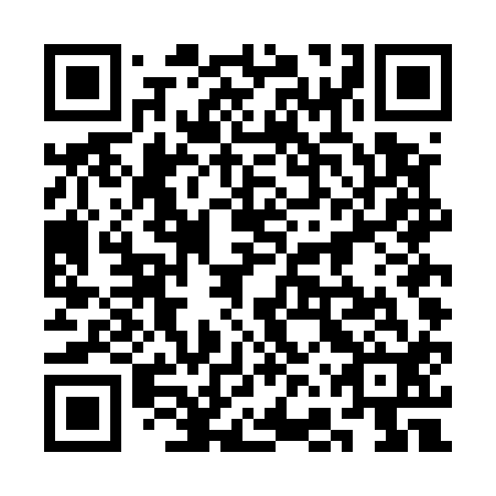 QR code for plate 3FT E12