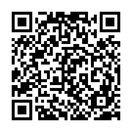 QR code for plate 3FU N66