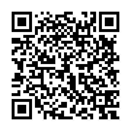 QR code for 3G0838