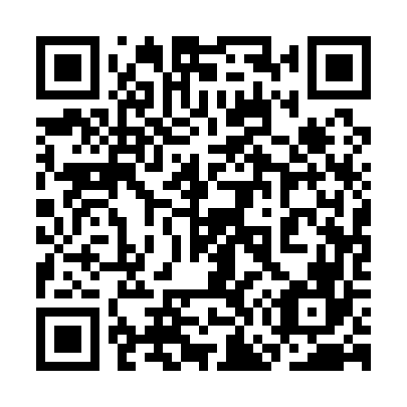 QR code for plate 3G1 166