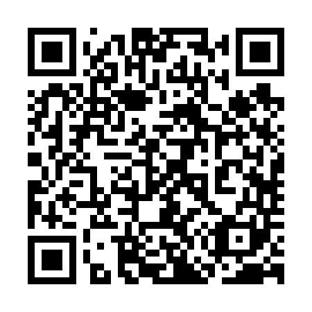 QR code for plate 3G2 641