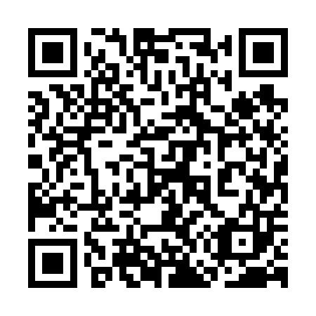 QR code for plate 3G5 603