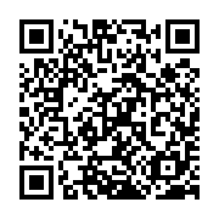 QR code for plate 3G6 595