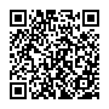 QR code for plate 3G6 842