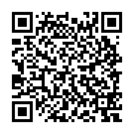 QR code for plate 3G8 398