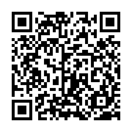 QR code for 3GS N94