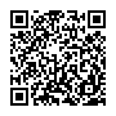 QR code for plate 3GS D96