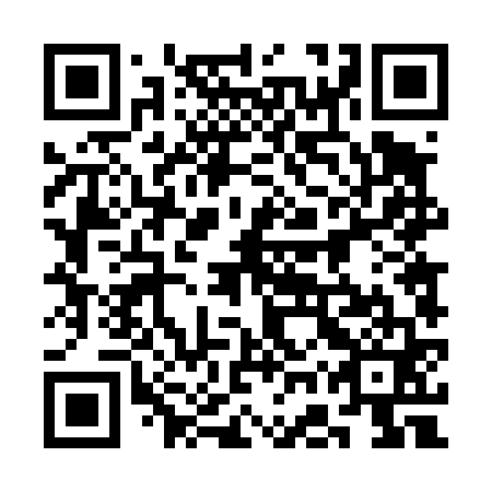 QR code for plate 3GT 461