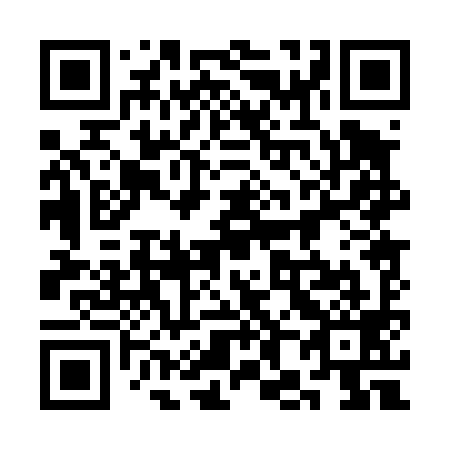 QR code for plate 3H0 499