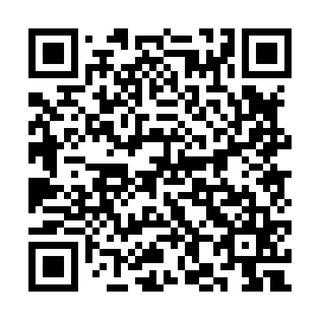 QR code for plate 3H0 865