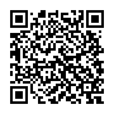 QR code for plate 3H6 713