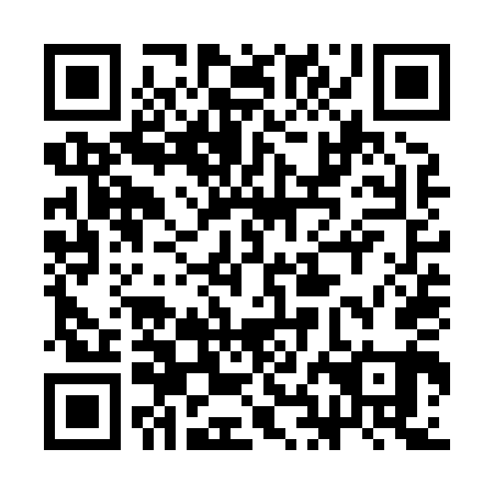 QR code for plate 3HO X41