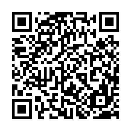 QR code for 3I0 216