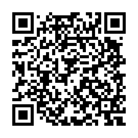 QR code for plate 3I0 491