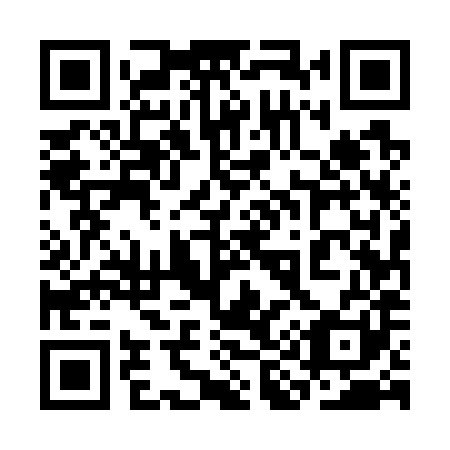 QR code for plate 3I5 781