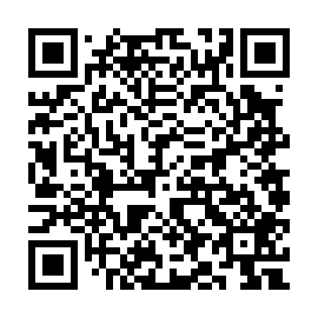 QR code for plate 3I6 009