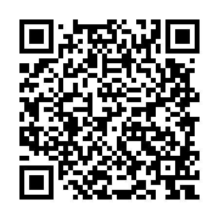 QR code for plate 3I8 581