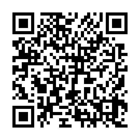QR code for 3I9 738