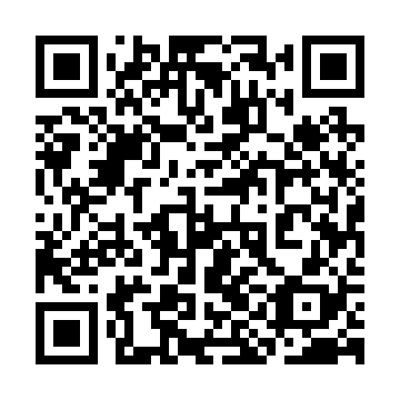 QR code for 3IE 228