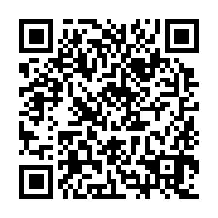 QR code for 3IN 382