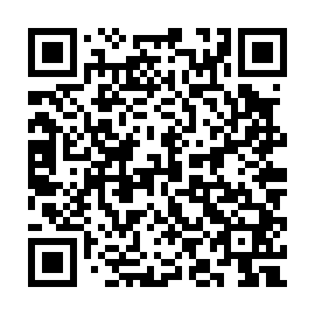 QR code for 3IN P40
