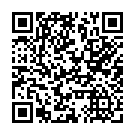 QR code for 3IQ 335