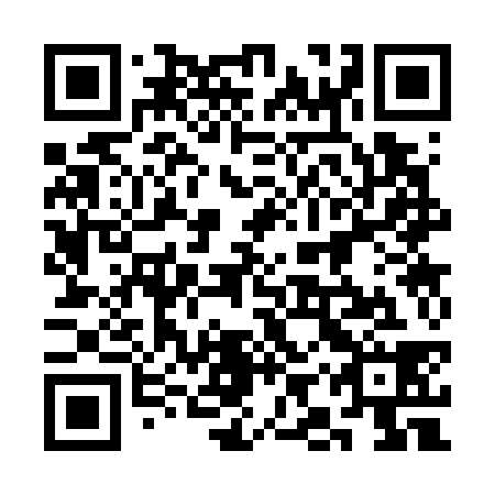 QR code for 3IS 738