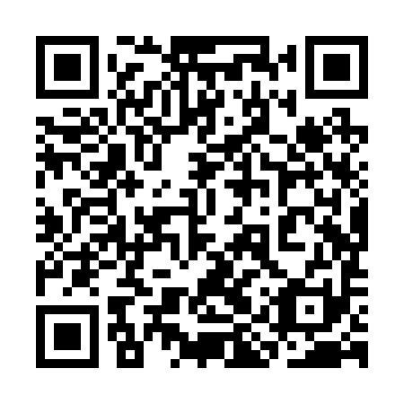 QR code for plate 3IX R91