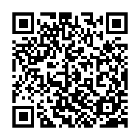 QR code for plate 3LE Z85