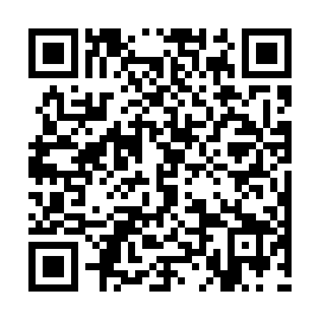 QR code for plate 3LG 509