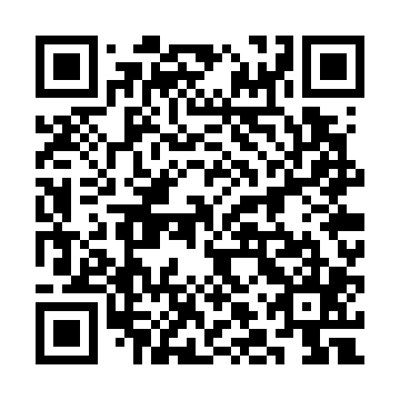 QR code for plate 3LW W05
