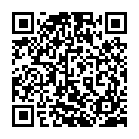 QR code for plate 3MG B64