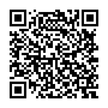 QR code for plate 3MO X53