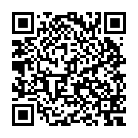 QR code for 3N3 299