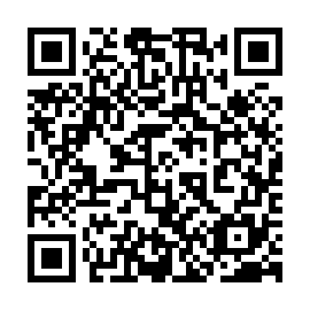 QR code for 3N3875