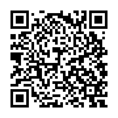 QR code for plate 3N6 313